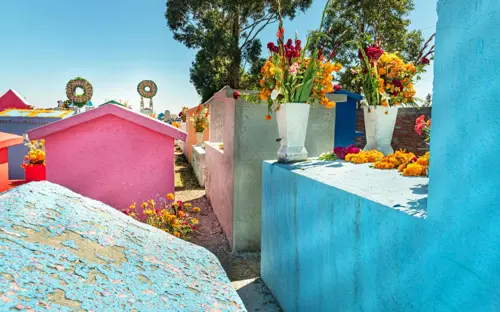 Dia De Los Muertos 1