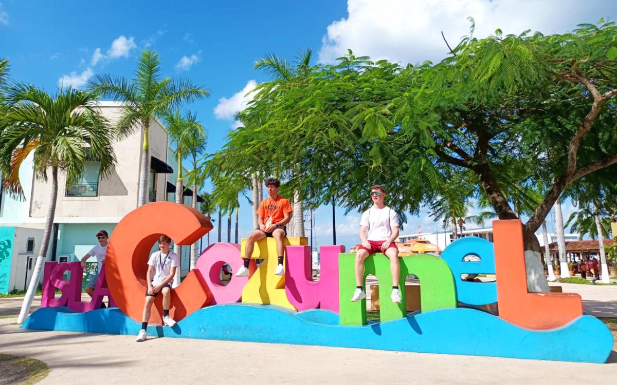 Imagen de Introducción